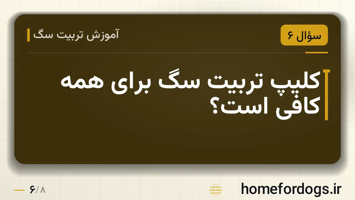 کلیپ تربیت سگ برای همه کافی است؟
