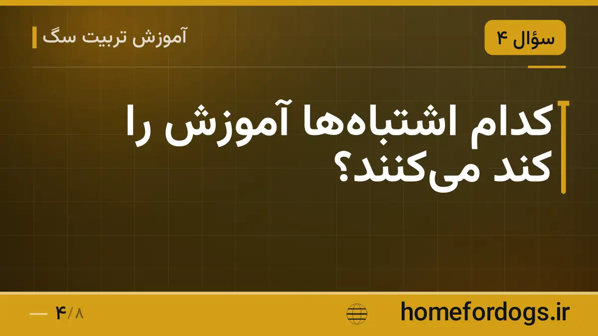 کدام اشتباهها آموزش را کند میکنند؟