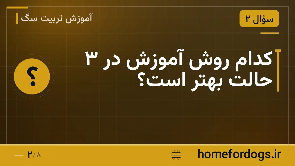 کدام روش آموزش در ۳ حالت بهتر است؟