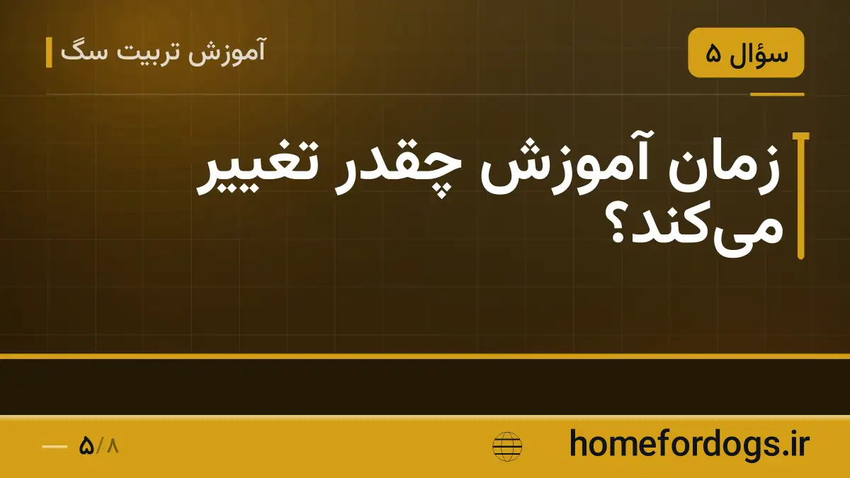 زمان آموزش چقدر تغییر میکند؟