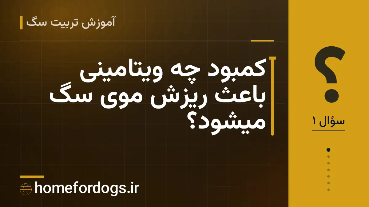 کمبود چه ویتامینی باعث ریزش موی سگ میشود؟