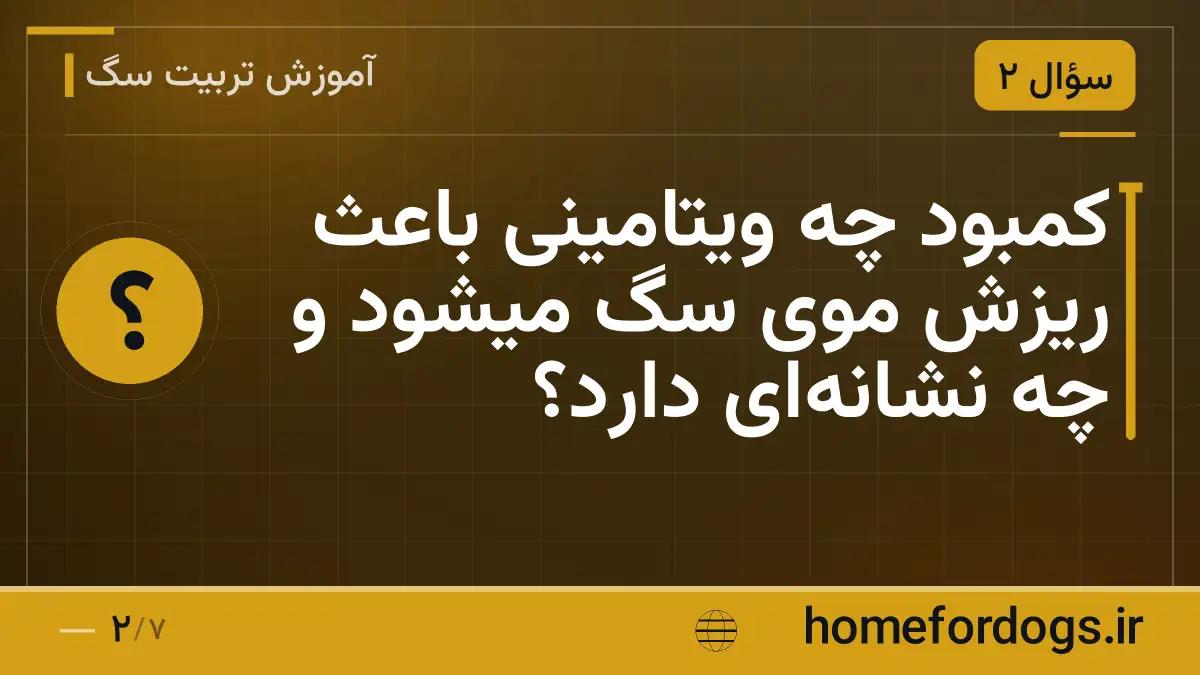 کمبود چه ویتامینی باعث ریزش موی سگ میشود و چه نشانه‌ای دارد؟