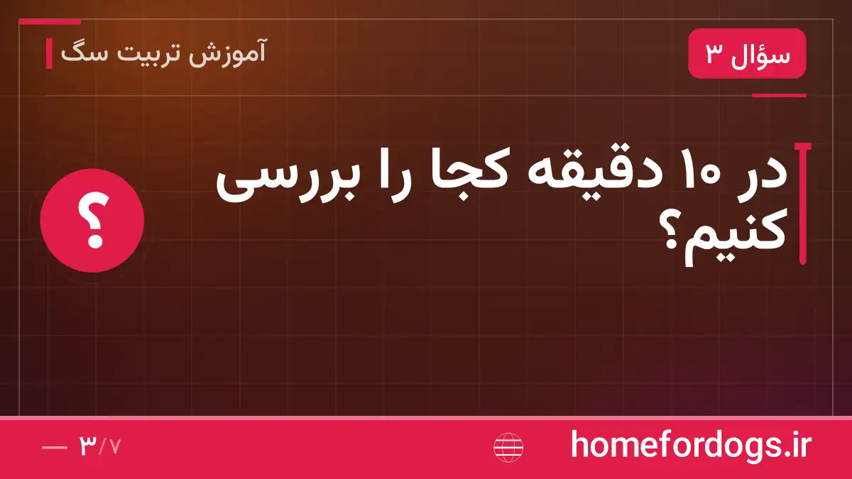 در ۱۰ دقیقه کجا را بررسی کنیم؟