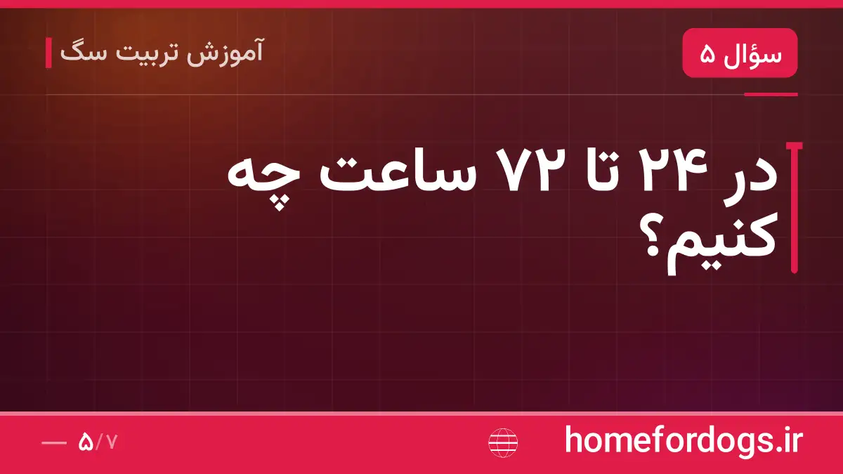 در ۲۴ تا ۷۲ ساعت چه کنیم؟