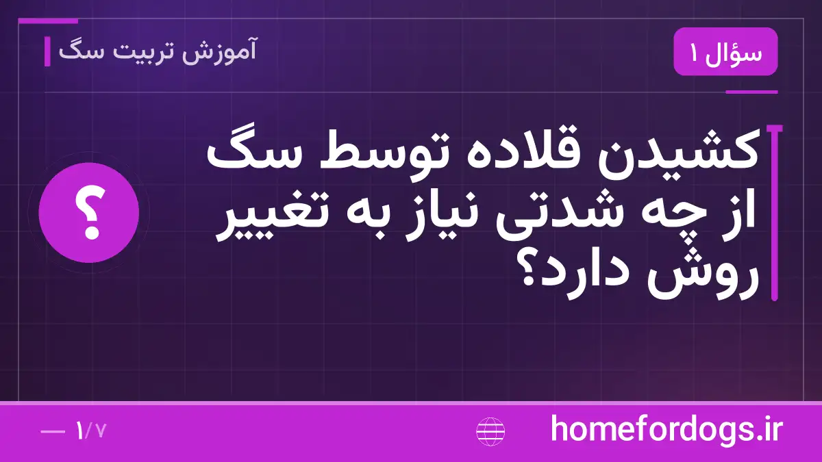 کشیدن قلاده توسط سگ از چه شدتی نیاز به تغییر روش دارد؟