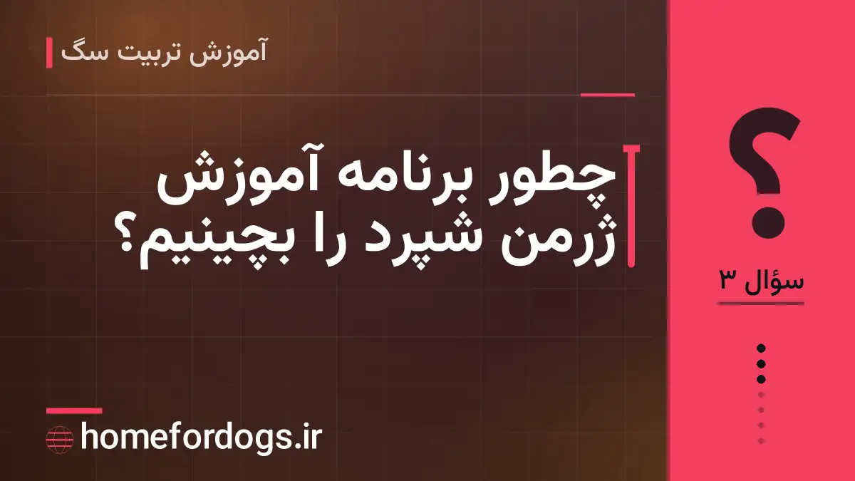 چطور برنامه آموزش ژرمن شپرد را بچینیم؟