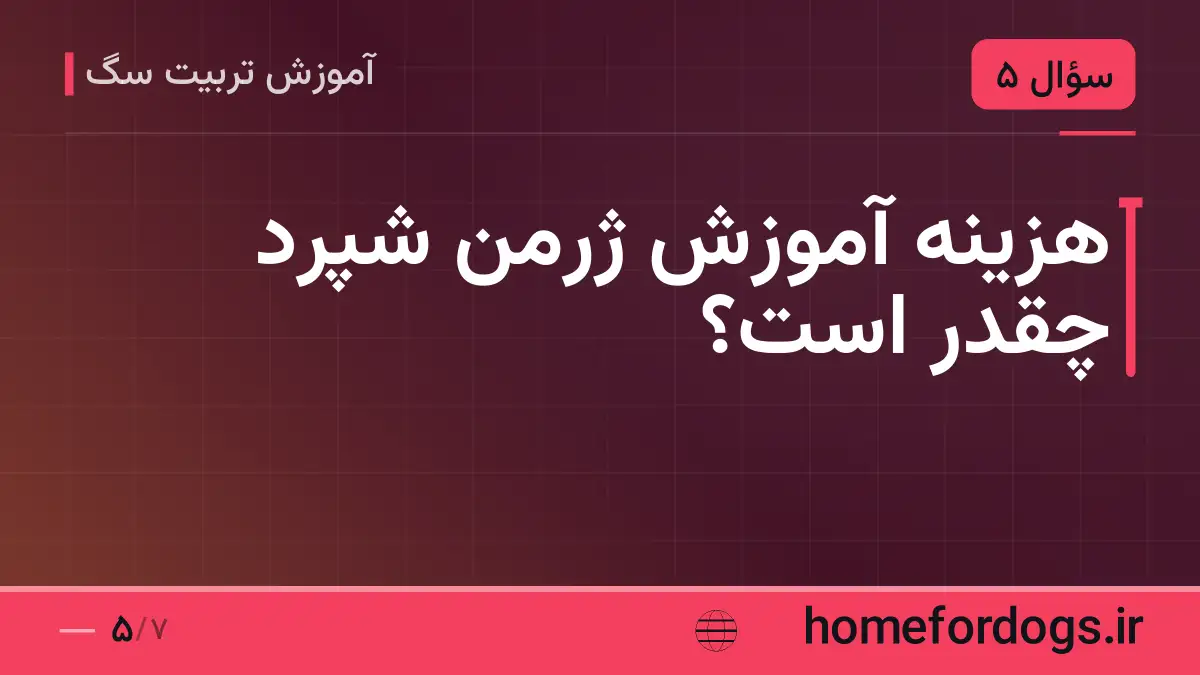 هزینه آموزش ژرمن شپرد چقدر است؟