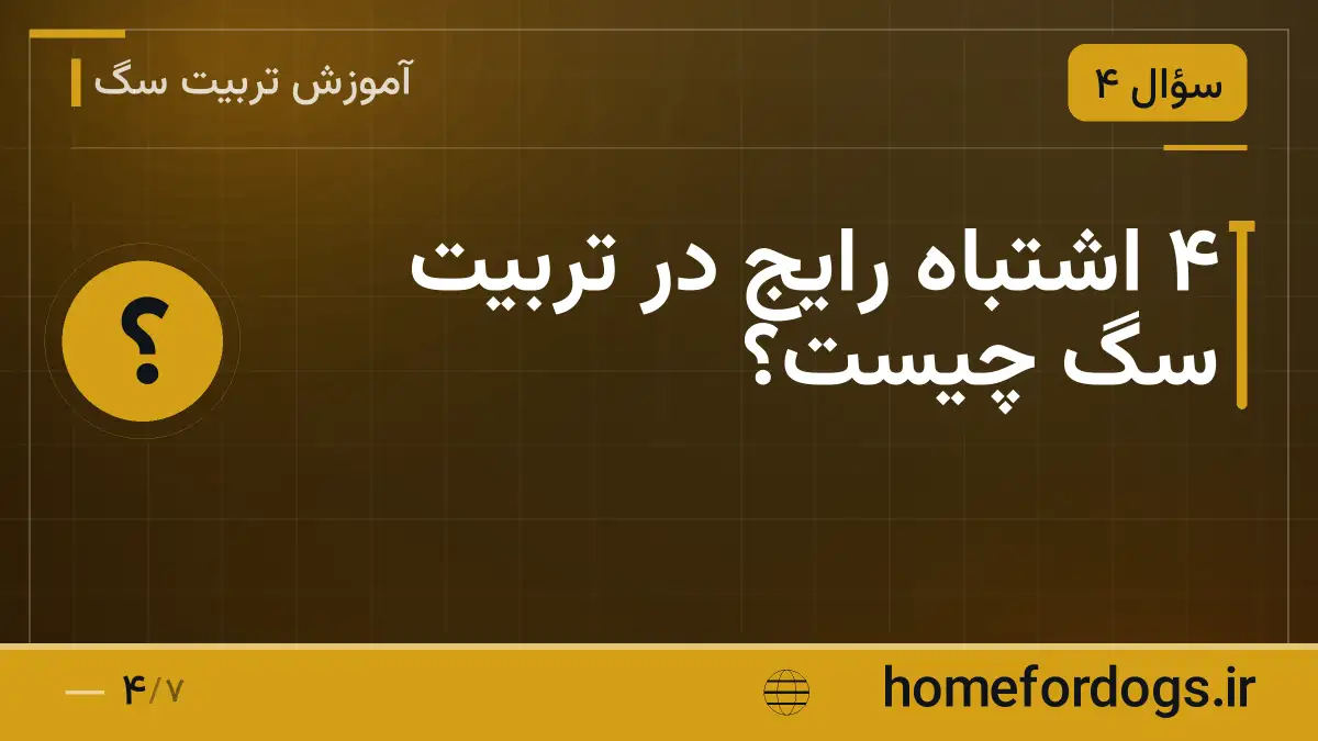 ۴ اشتباه رایج در تربیت سگ چیست؟