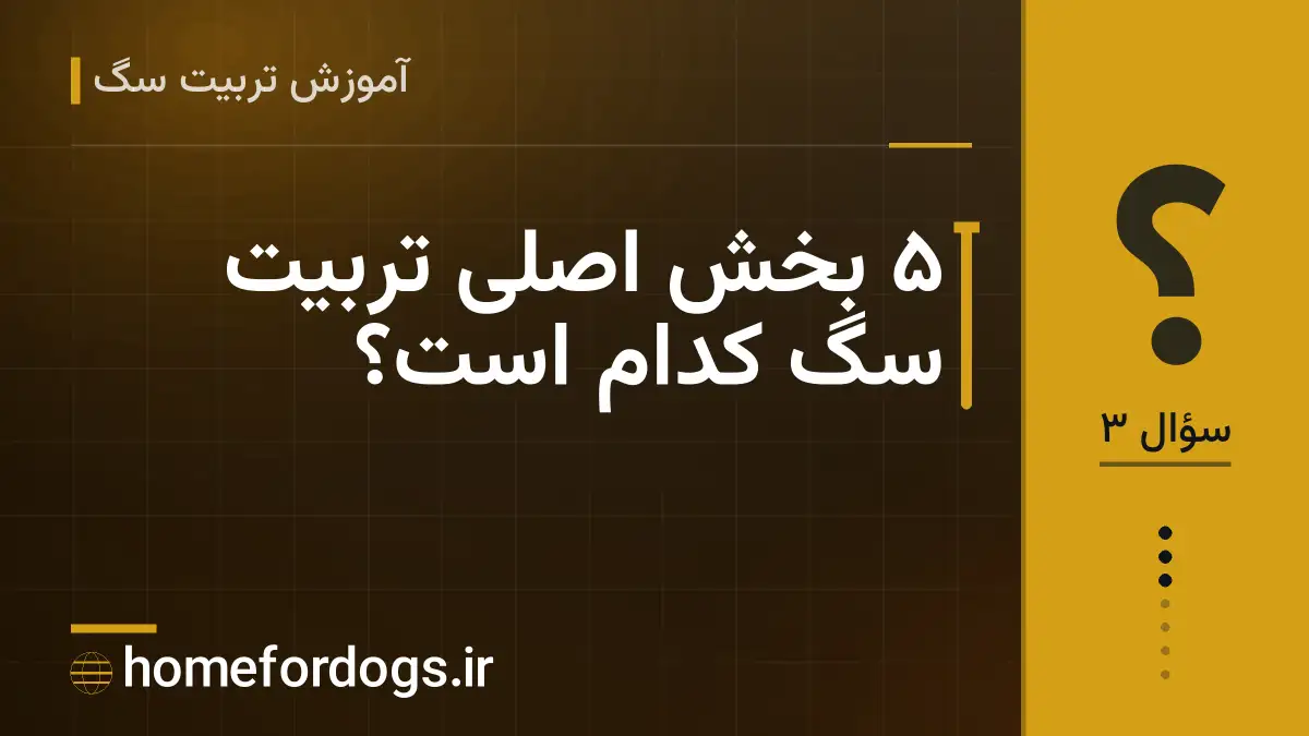 ۵ بخش اصلی تربیت سگ کدام است؟