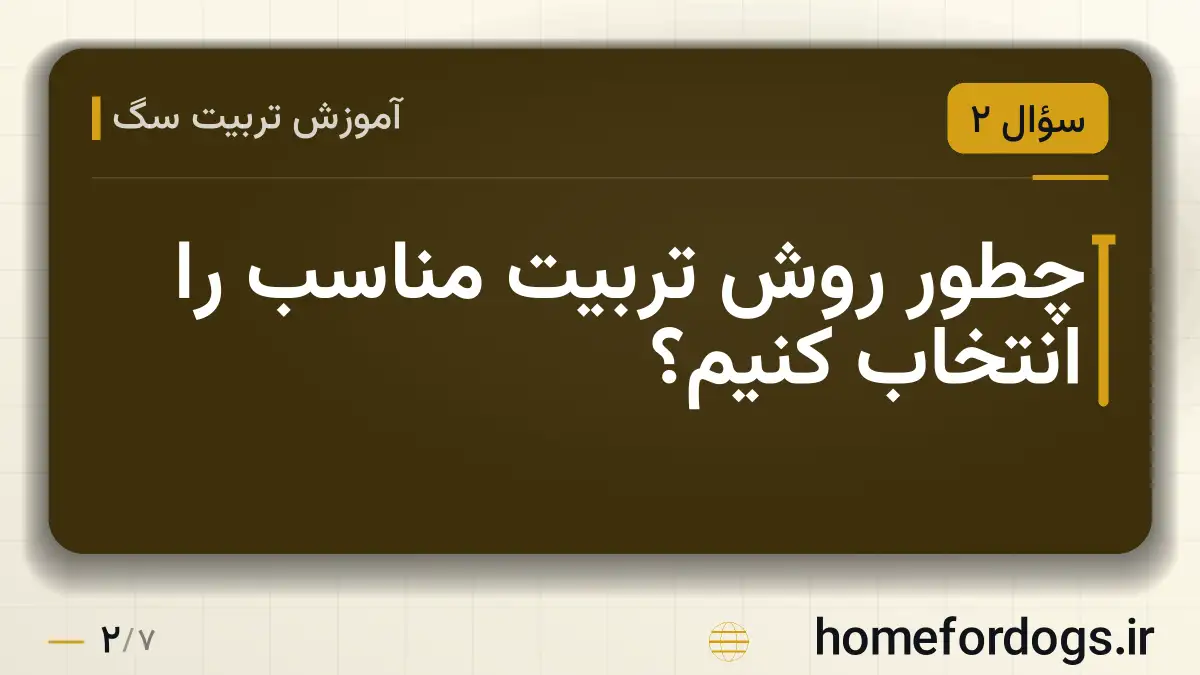 چطور روش تربیت مناسب را انتخاب کنیم؟