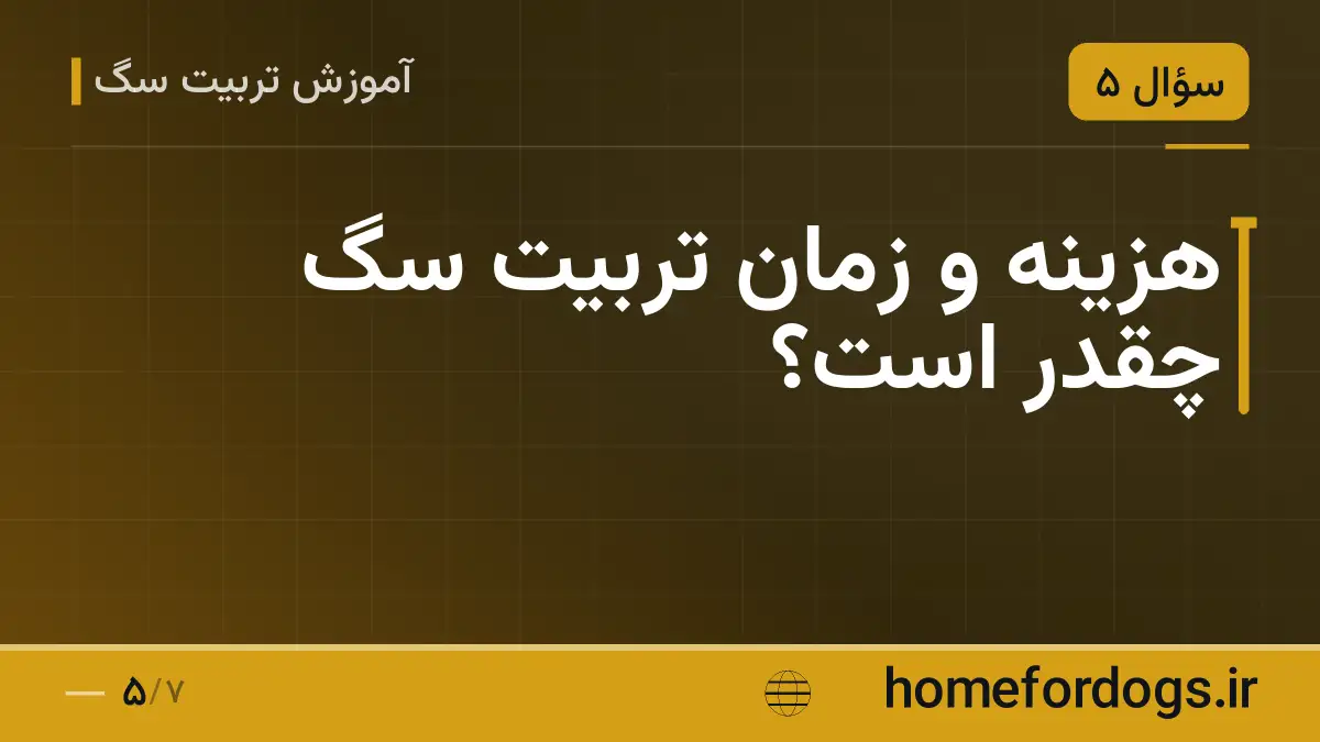 هزینه و زمان تربیت سگ چقدر است؟