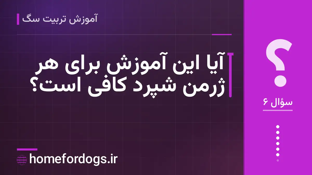 آیا این آموزش برای هر ژرمن شپرد کافی است؟