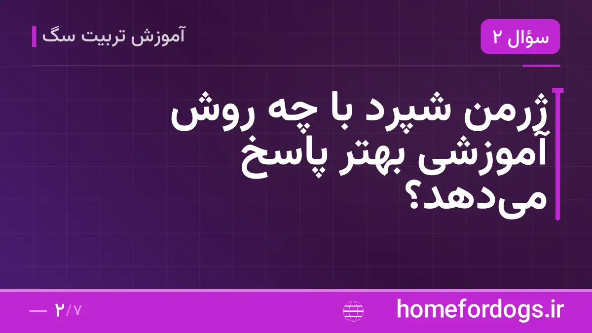 ژرمن شپرد با چه روش آموزشی بهتر پاسخ می‌دهد؟