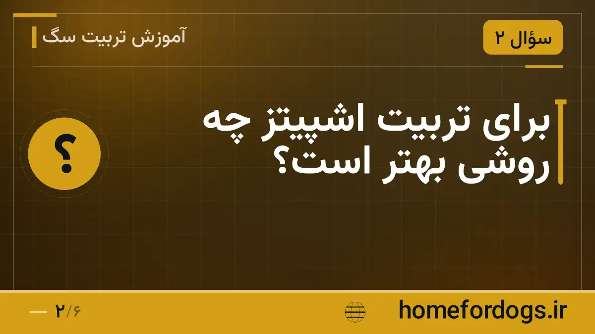 برای تربیت اشپیتز چه روشی بهتر است؟