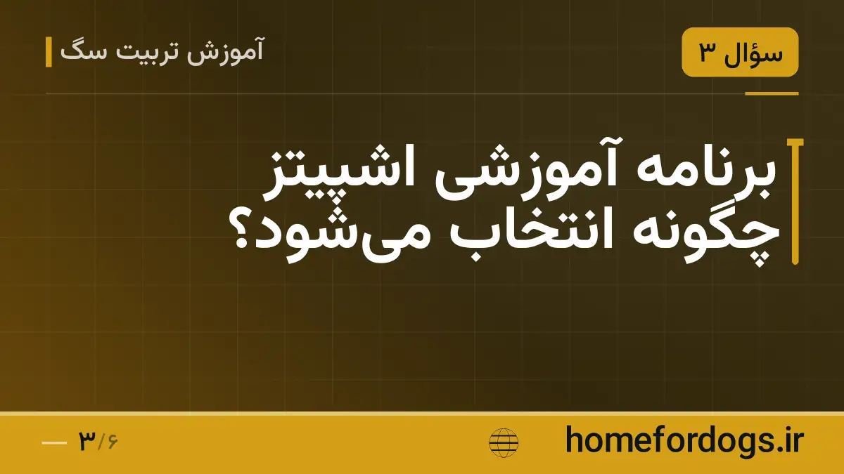 برنامه آموزشی اشپیتز چگونه انتخاب میشود؟