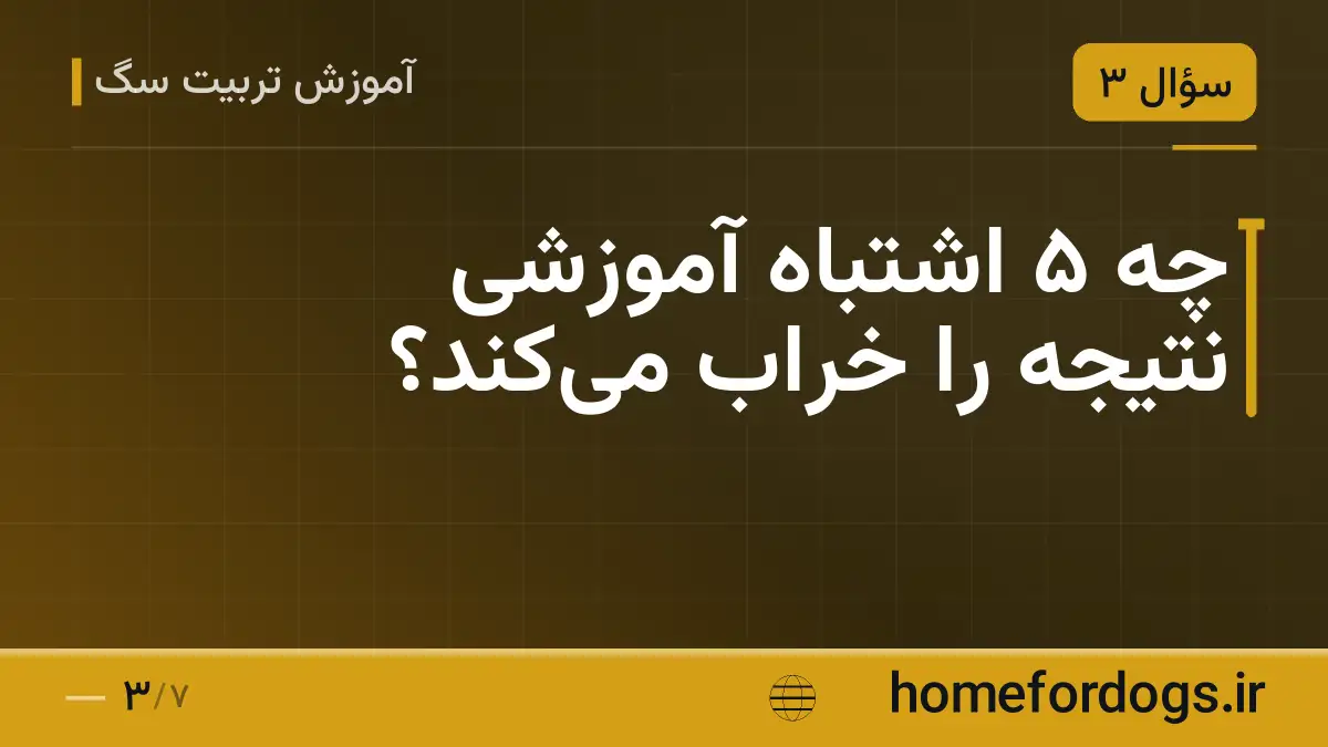 چه ۵ اشتباه آموزشی نتیجه را خراب می‌کند؟