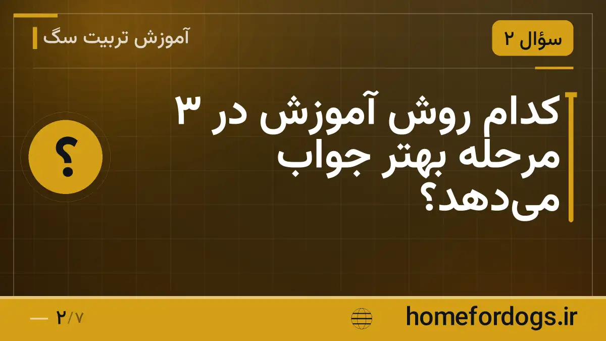 کدام روش آموزش در ۳ مرحله بهتر جواب می‌دهد؟