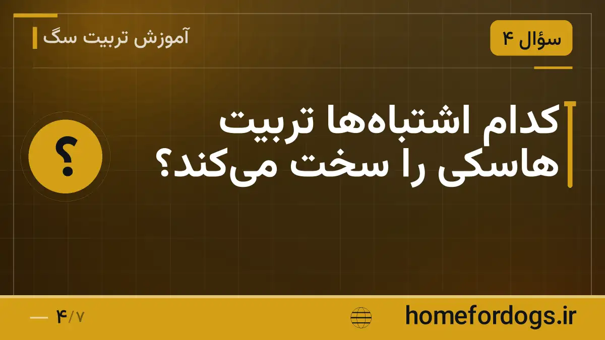 کدام اشتباه‌ها تربیت هاسکی را سخت می‌کند؟