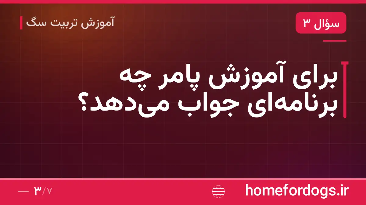برای آموزش پامر چه برنامه‌ای جواب می‌دهد؟