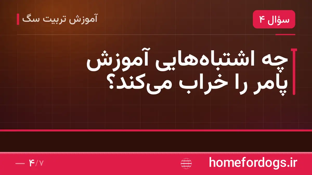 چه اشتباه‌هایی آموزش پامر را خراب می‌کند؟