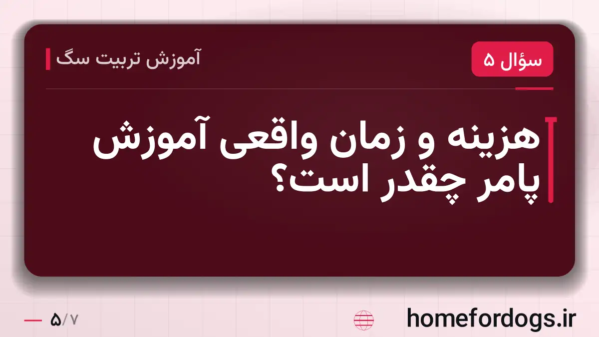 هزینه و زمان واقعی آموزش پامر چقدر است؟