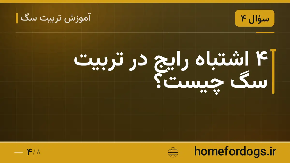 ۴ اشتباه رایج در تربیت سگ چیست؟