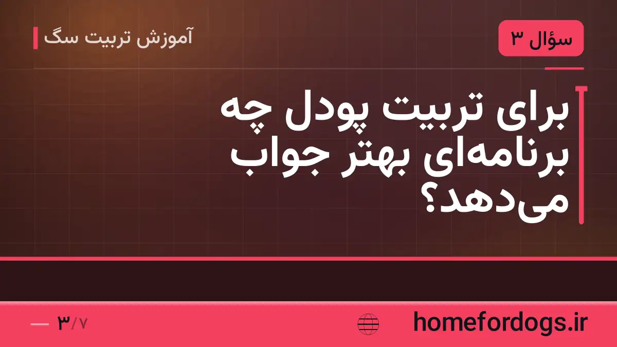 برای تربیت پودل چه برنامهای بهتر جواب میدهد؟