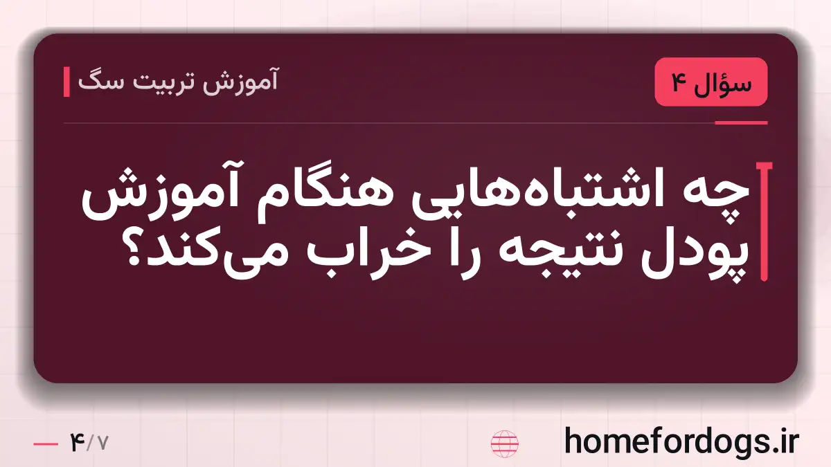 چه اشتباههایی هنگام آموزش پودل نتیجه را خراب میکند؟