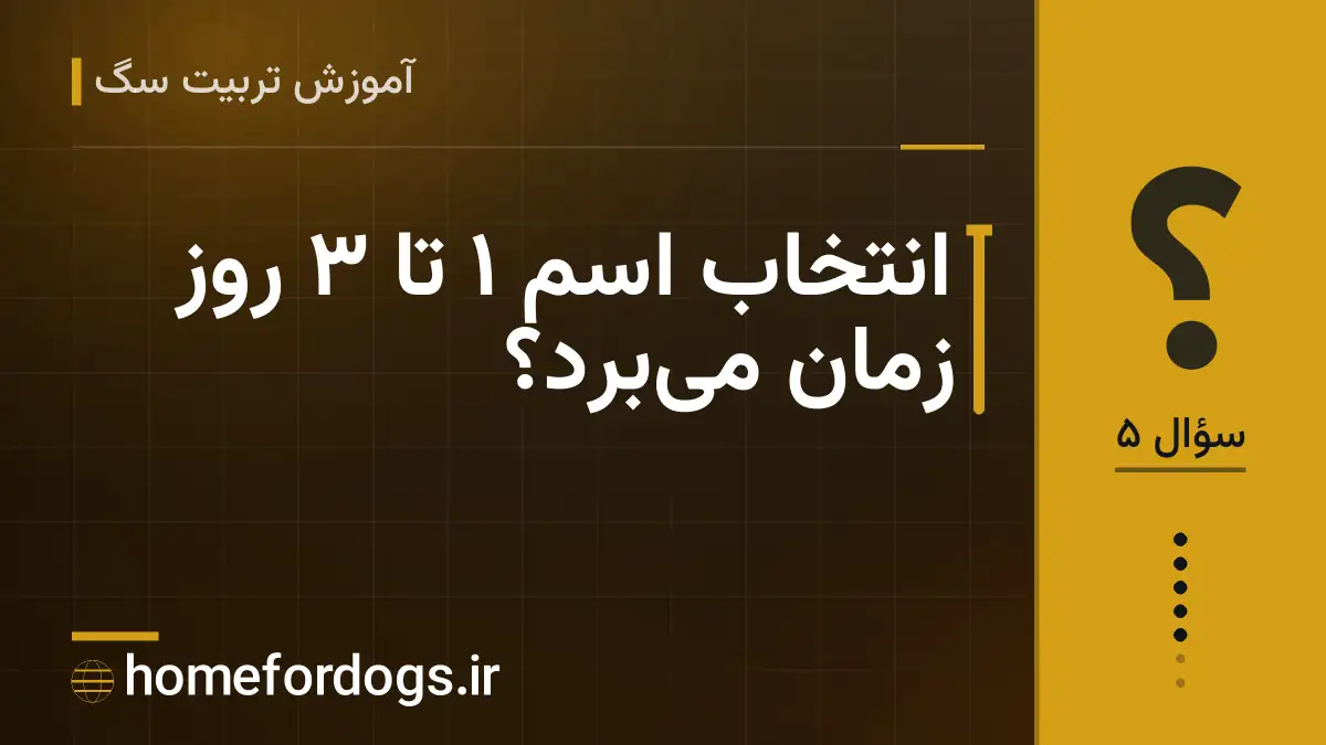 انتخاب اسم ۱ تا ۳ روز زمان میبرد؟