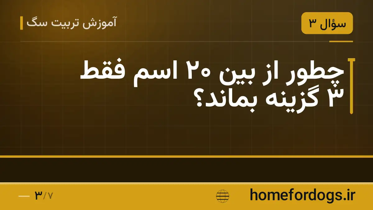 چطور از بین ۲۰ اسم فقط ۳ گزینه بماند؟