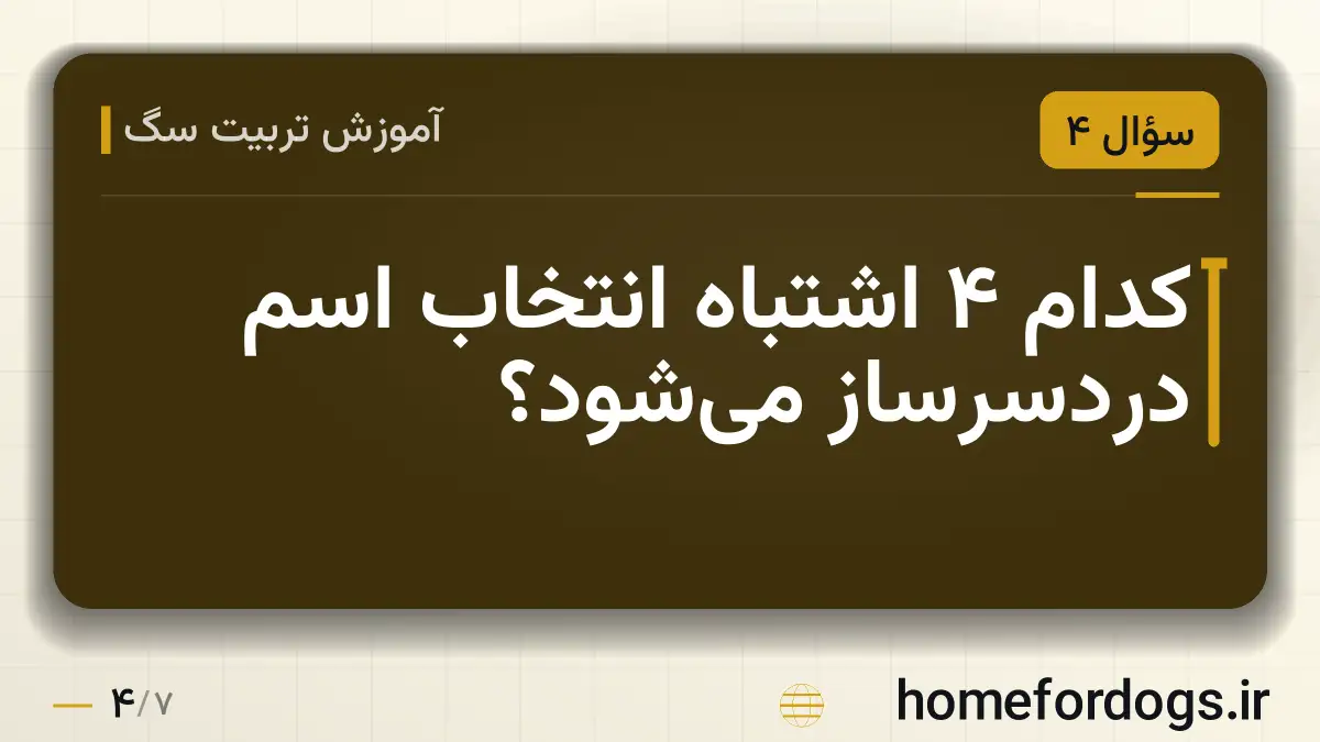 کدام ۴ اشتباه انتخاب اسم دردسرساز میشود؟