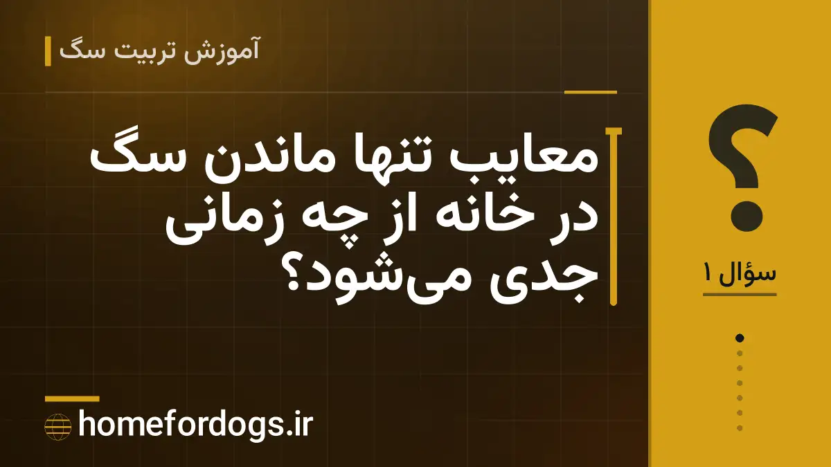 معایب تنها ماندن سگ در خانه از چه زمانی جدی می‌شود؟