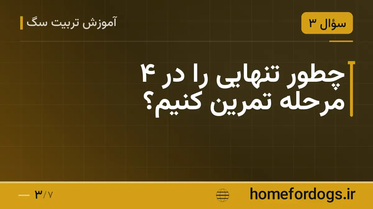 چطور تنهایی را در ۴ مرحله تمرین کنیم؟