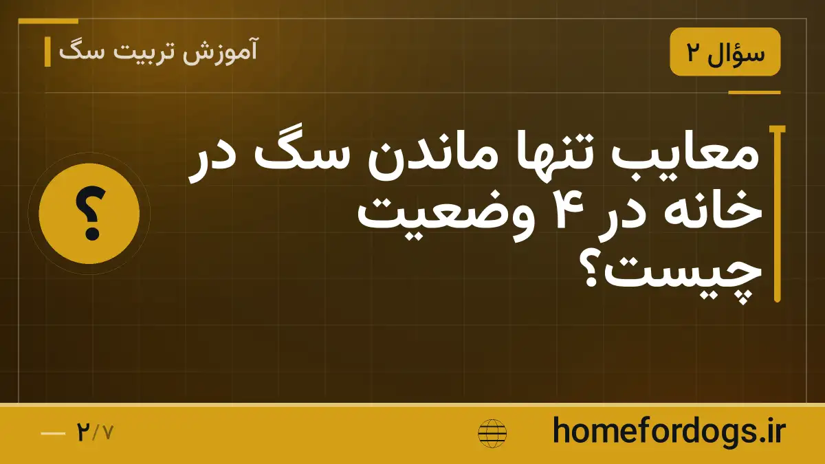 معایب تنها ماندن سگ در خانه در ۴ وضعیت چیست؟