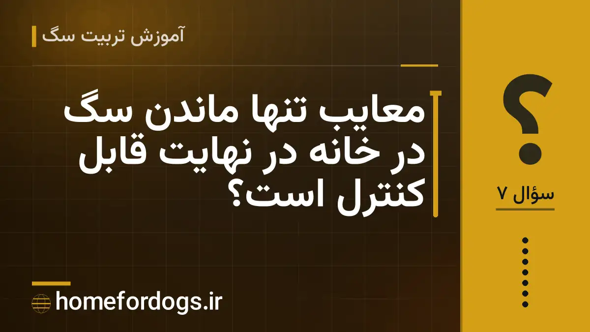 معایب تنها ماندن سگ در خانه در نهایت قابل کنترل است؟