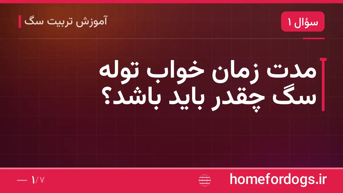 مدت زمان خواب توله سگ چقدر باید باشد؟