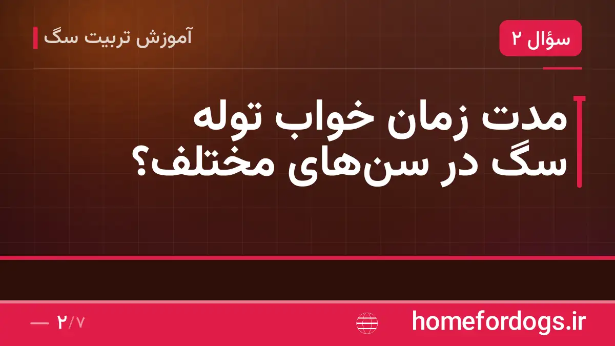 مدت زمان خواب توله سگ در سن‌های مختلف؟