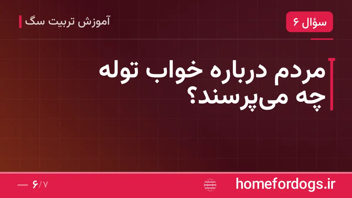 مردم درباره خواب توله چه می‌پرسند؟