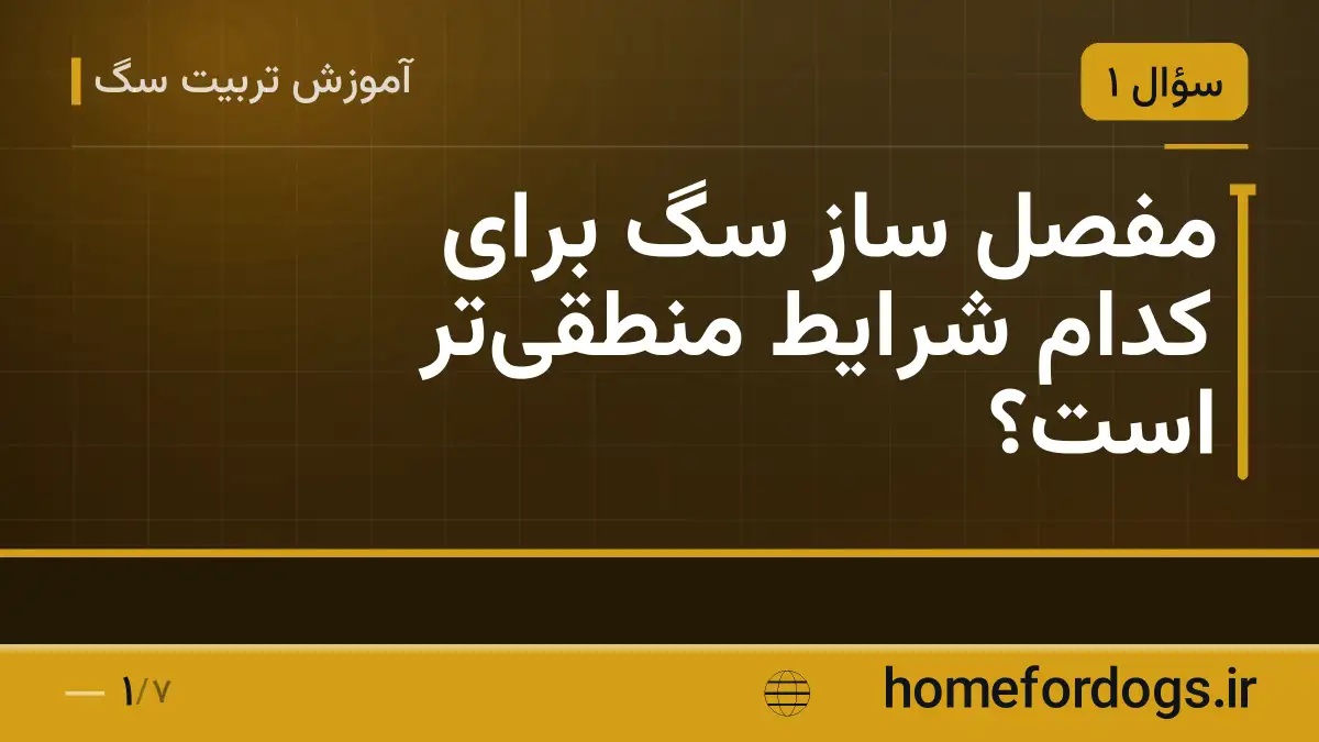 مفصل ساز سگ برای کدام شرایط منطقی‌تر است؟