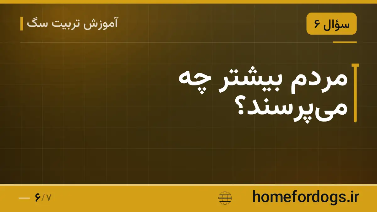 مردم بیشتر چه می‌پرسند؟