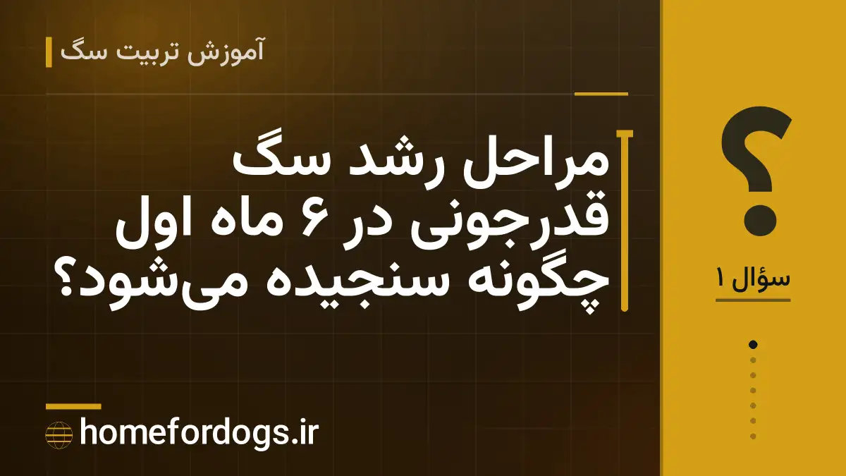 مراحل رشد سگ قدرجونی در ۶ ماه اول چگونه سنجیده می‌شود؟
