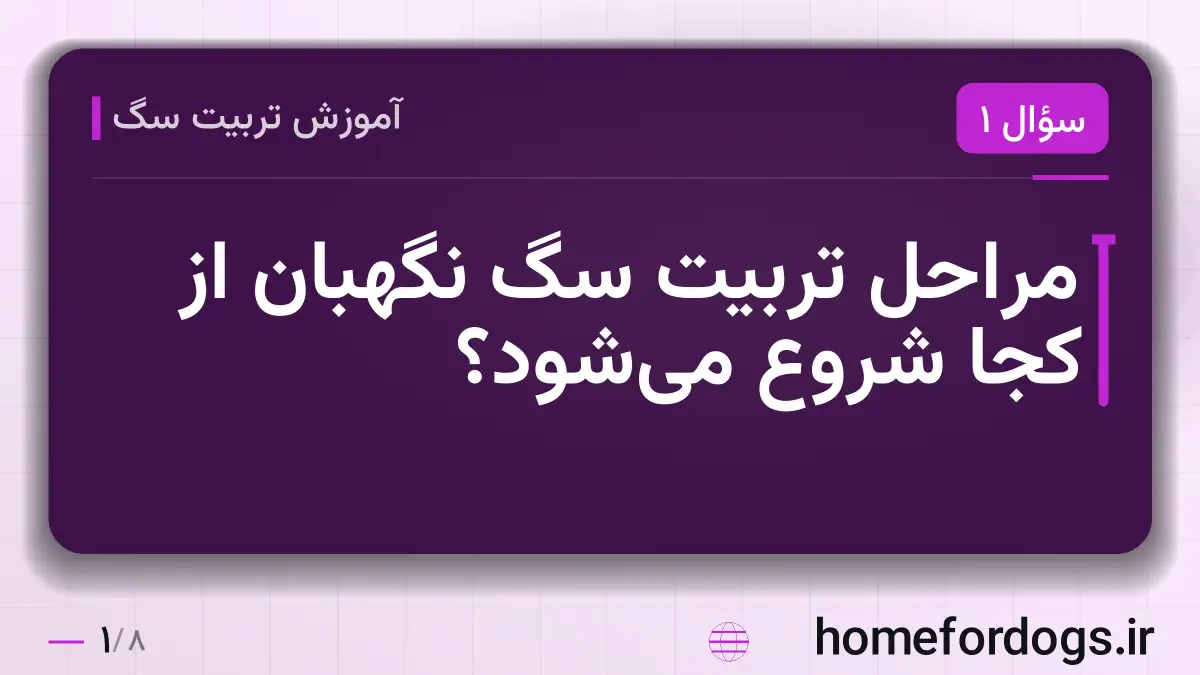 مراحل تربیت سگ نگهبان از کجا شروع میشود؟
