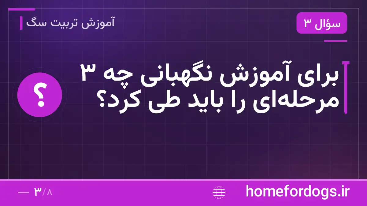 برای آموزش نگهبانی چه ۳ مرحلهای را باید طی کرد؟