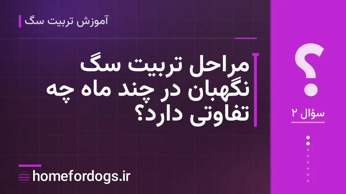 مراحل تربیت سگ نگهبان در چند ماه چه تفاوتی دارد؟