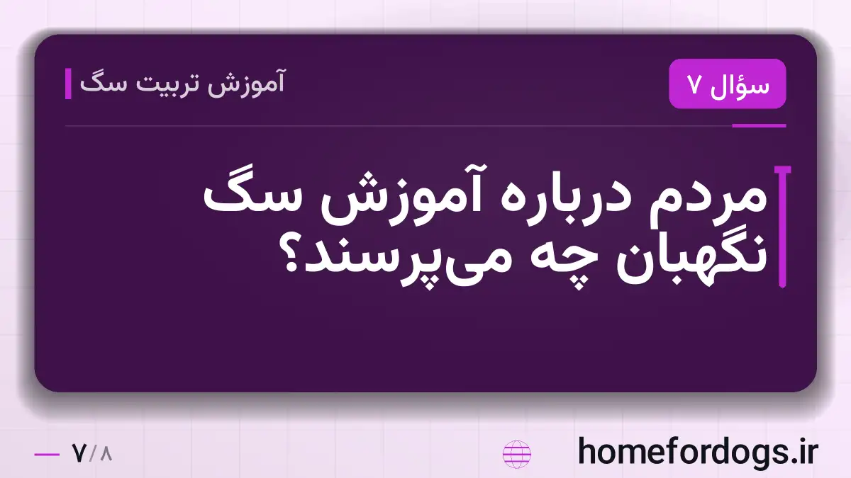 مردم درباره آموزش سگ نگهبان چه میپرسند؟