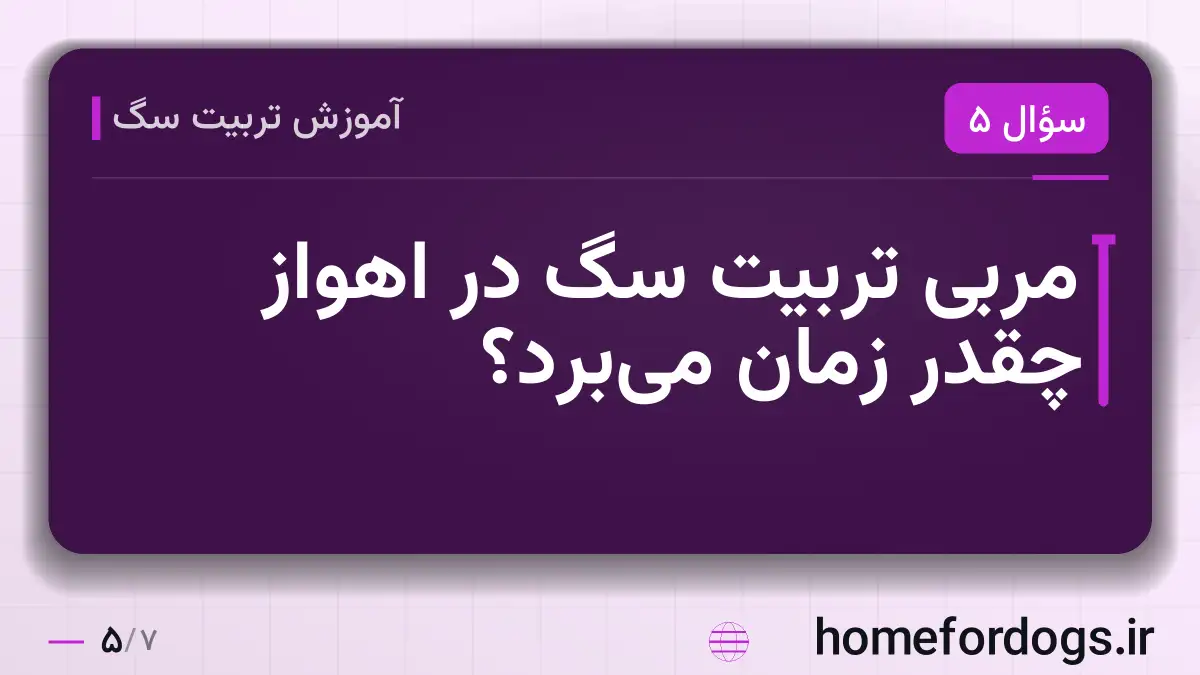 مربی تربیت سگ در اهواز چقدر زمان می‌برد؟