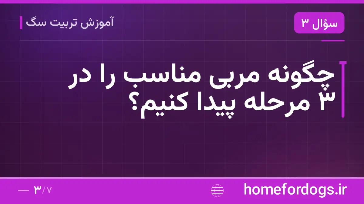 چگونه مربی مناسب را در ۳ مرحله پیدا کنیم؟