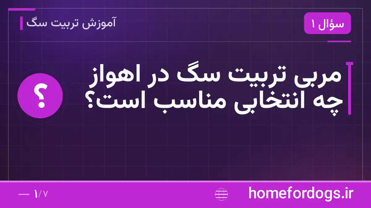 مربی تربیت سگ در اهواز چه انتخابی مناسب است؟
