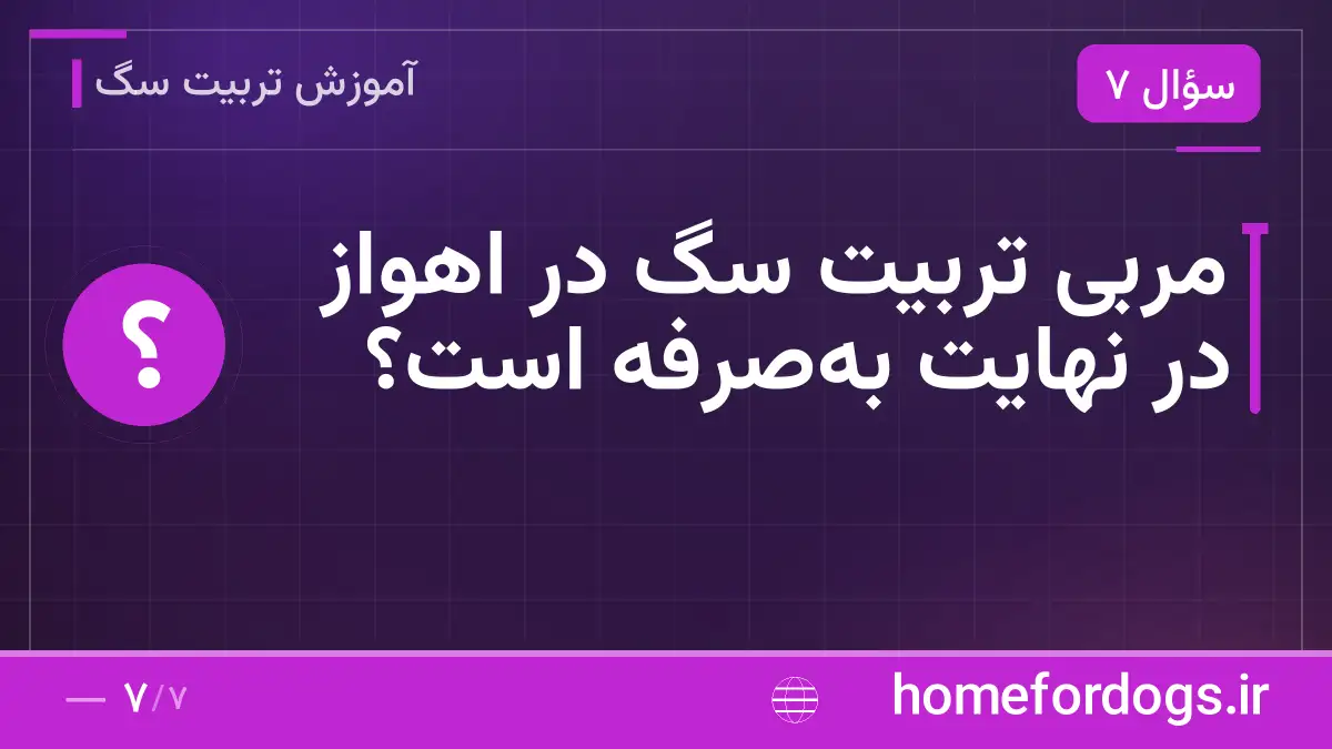 مربی تربیت سگ در اهواز در نهایت به‌صرفه است؟