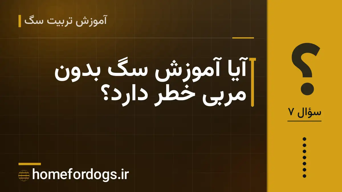 آیا آموزش سگ بدون مربی خطر دارد؟